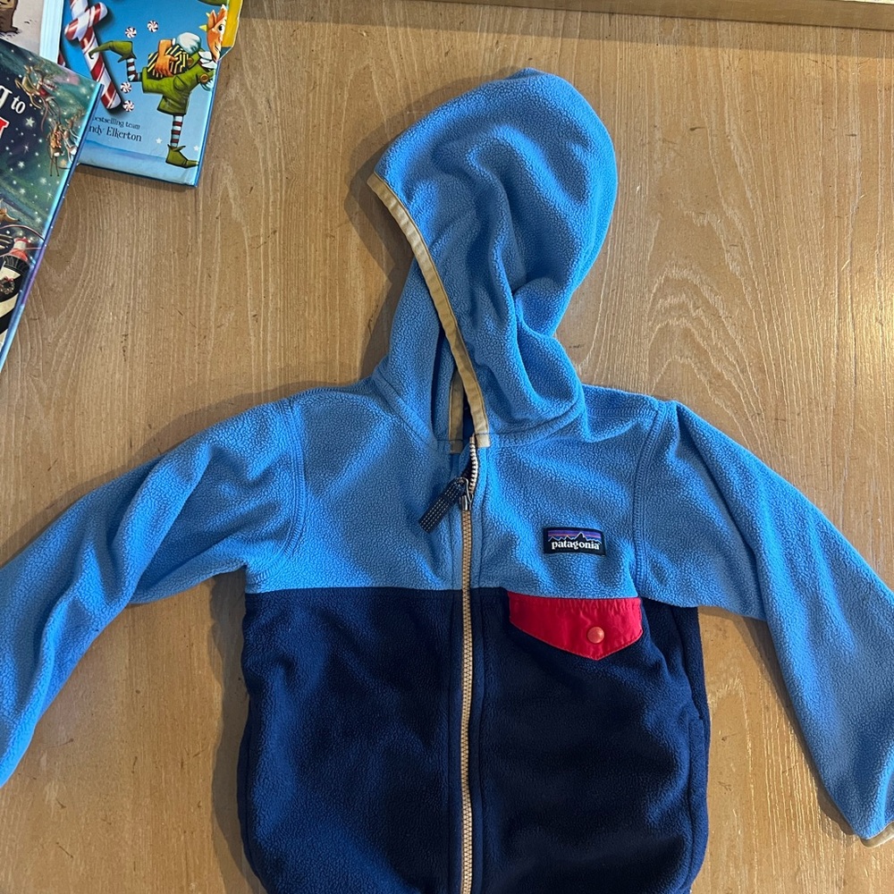 Patagonia Blue and Navy Fleece Hoodie